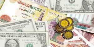 الدولار يسجل 47.76 جنيه للشراء.. أسعار العملات الأجنبية اليوم الجمعة