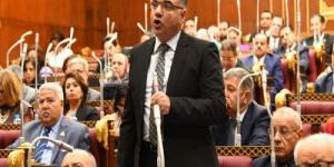 برلماني: ذكرى تحرير سيناء لا يُنسى وسيظل رمزاً لقوة وإرادة قواتنا المسلحة الباسلة