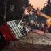 وفاة شخص وإصابة 13 في انقلاب حافلة سياحية في كيرالا الهندية
